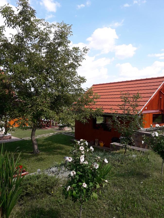 Matyas Apartman Tard Exterior photo